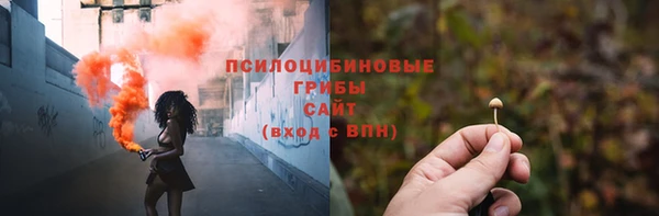 хмурый Бородино