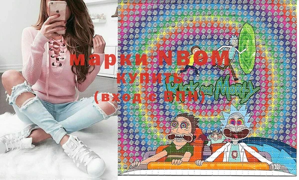 хмурый Бородино