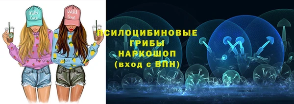 хмурый Бородино