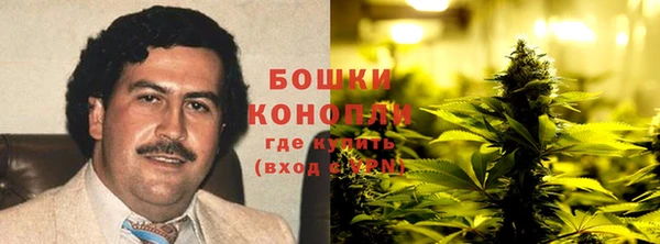 ГАЛЛЮЦИНОГЕННЫЕ ГРИБЫ Ростов